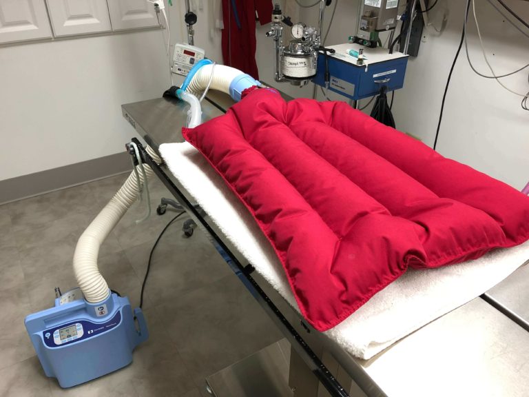 We use warm air blankets to keep our surgical patients comfortable and warm