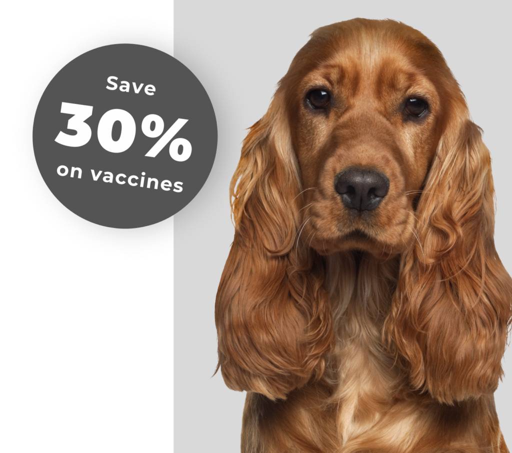 image of save 30 percent on vaccines