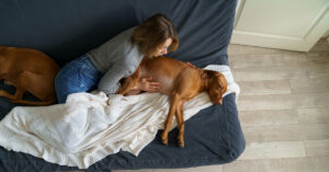 worried owner sitting with sick dog on the couch at home